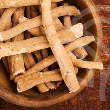 Ashwagandha NSP Model NSP 23072 | Obrázok č. 1