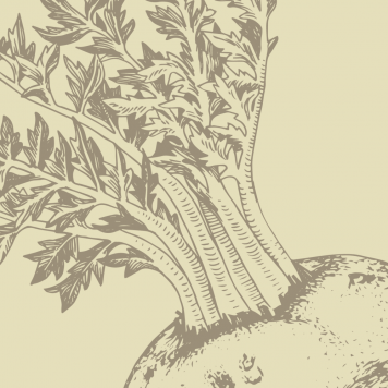 Boost NSP Model NSP 1121 | Obrázok č. 1