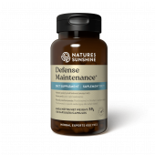 Obranná údržba NSP