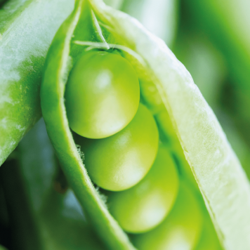 SmartMeal 2-pak Model NSP 65010 | Obrázok č. 1