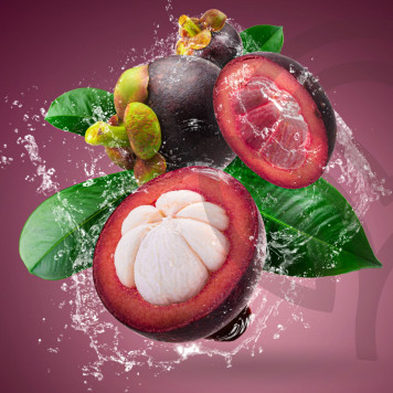 Zambroza NSP Model NSP 4104 | Obrázok č. 2