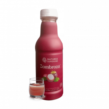 Zambroza NSP Model NSP 4104 | Obrázok č. 1