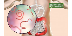 Ako bezpečne a prirodzene poraziť parazity a kandidózu: program NSP
