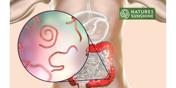 Ako bezpečne a prirodzene poraziť parazity a kandidózu: program NSP