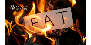 Prečo telo potrebuje tuk? Úloha tukového tkaniva v toxikologickej obrane