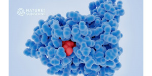 Výživový prístup k zotaveniu z rakoviny: ako podporiť telo pomocou NSP Výživový prístup k zotaveniu z rakoviny: ako podporiť telo pomocou NSP